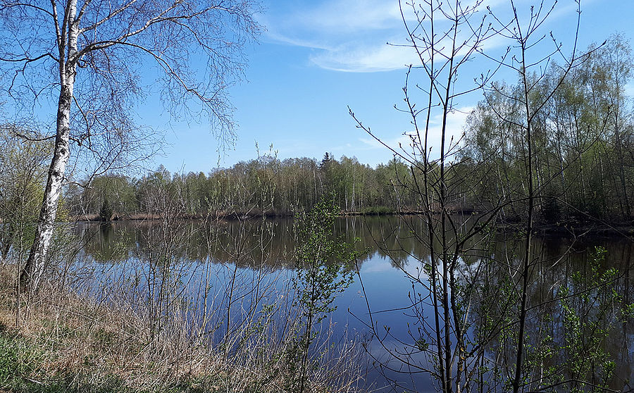 Blick auf das Pfrungener Ried