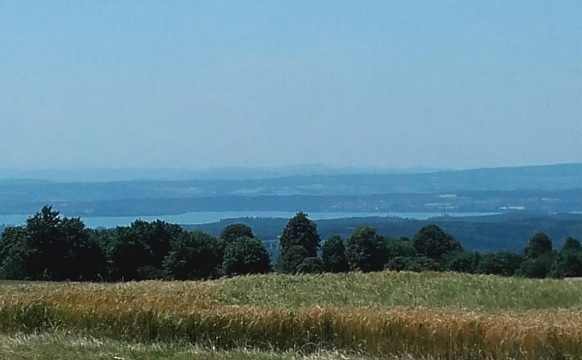 Blick von der Amalienhöhe